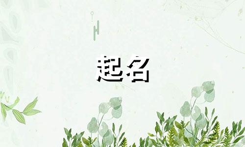 怎么起名比较好的公司名字