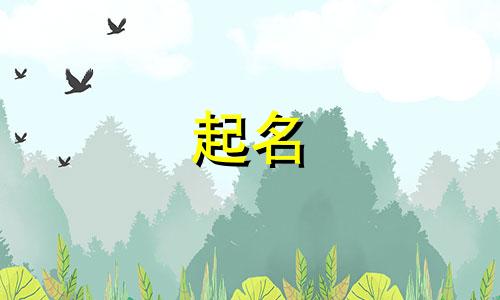 建立公司怎么起名字好听 建立公司起什么名字好