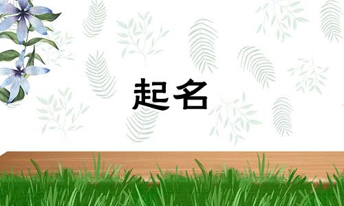 姓周的男宝宝取什么名字好听