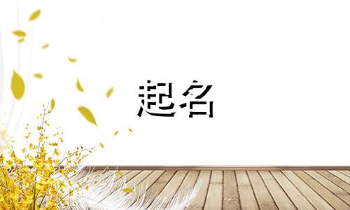 爸姓熊妈姓宋宝宝名字大全