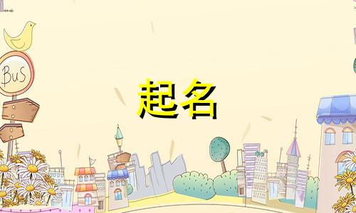 妈妈姓袁爸爸姓杨取名女孩名字