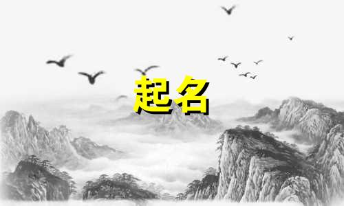 2024年井姓龙宝宝取名字最佳字辈是多少