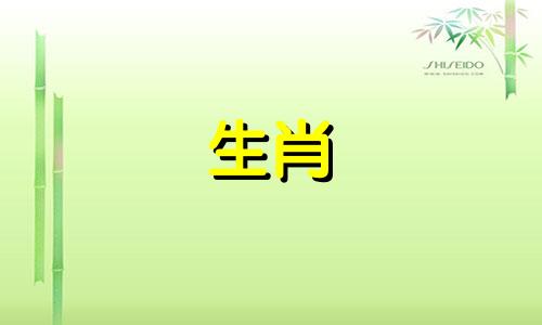 属鼠最忌讳什么颜色衣服 属鼠的忌什么颜色