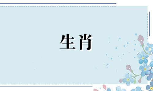 81年属鸡男2024年感情婚姻运势如何