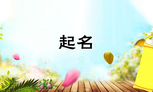 付姓女孩名字2024年属龙起名字