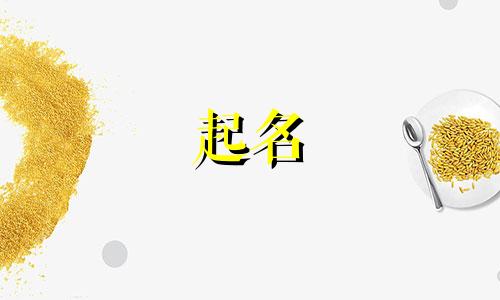 闵姓男孩名字2024年属龙起名字