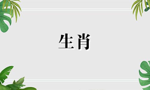 属蛇3合3不合是什么意思 属蛇的3合3不合