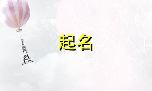 姓胡的和姓沈的孩子叫什么名字