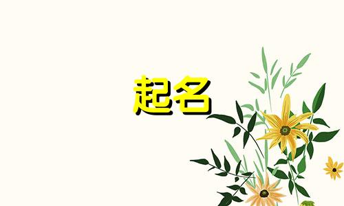 史姓和高姓怎么给孩子起名?男孩名字