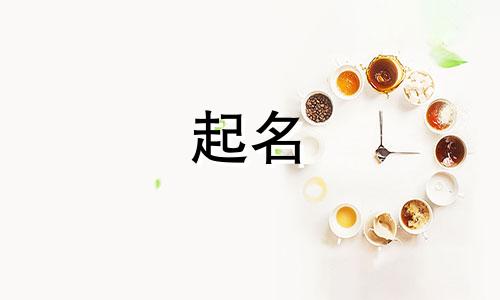 妈妈姓武爸爸姓任取名男孩怎么取