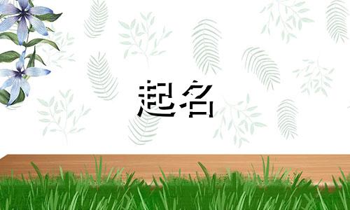 佘姓取名字大全男孩两字属龙女孩