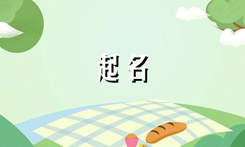 念姓取名字大全男孩两字属龙好吗