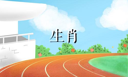 生肖猪2024年3月运势及运程如何呢