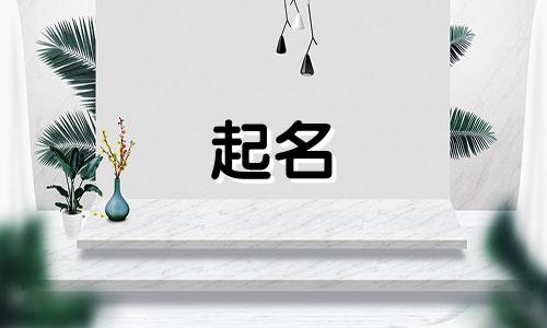 爸爸姓沈妈妈姓汪该怎么给宝宝取名字呢