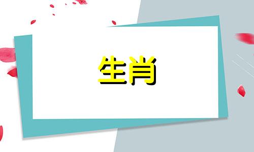 2024年属龙本命年运程怎么样