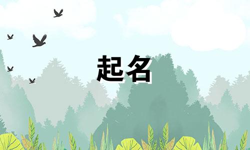 姓沈的和姓阎的孩子叫什么名字