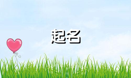 秀外慧中的第五姓女孩名字（第五姓女孩名字归纳）