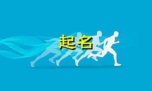 物业公司取名字大全2024年