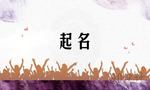 2024龙年男宝宝吉祥名字合集大全