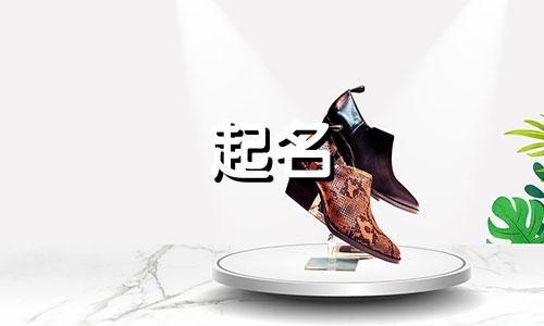 2024年化妆品店起什么名字招财又好听呢