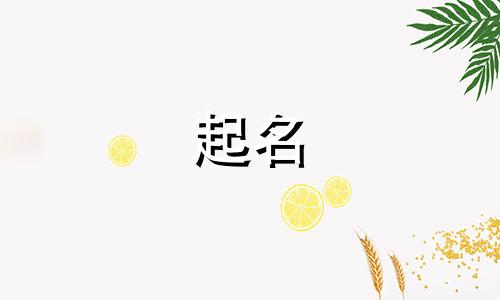 大米注册商标怎么起名字好听