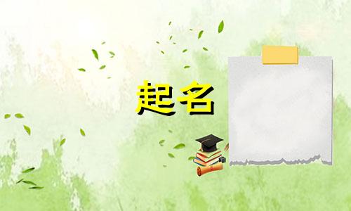 给宝宝取名字2024年属兔男孩名字怎么取