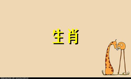 属兔有没有偏财运的说法 属兔的2021年偏财怎么样