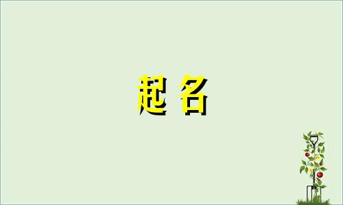 2024大年初一出生双胞胎小名 双胞胎取小名方法