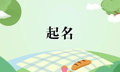 夏姓男孩取什么名字好 夏姓男孩气质高雅名字