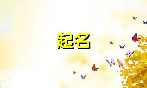 2024女宝宝取名清新,高雅好名字大全及寓意