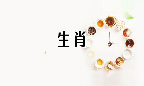 2024年属龙人全年每月运程