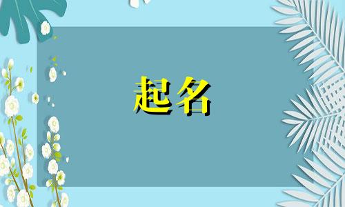 2024年大年三十除夕出生取名叫什么名字