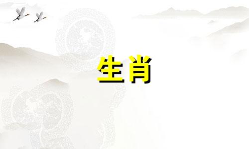 生肖鼠2024年上半年运势大全及运程