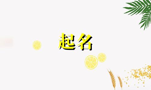 程姓女孩名字2024年10月怎么取名