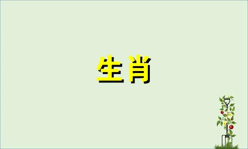 1983年属猪金牛座2024年运势男性