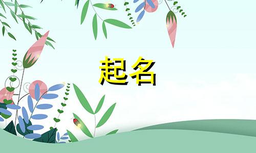 2024年霸气的公司起名大全