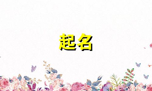 霸气又聚财的商贸公司名字大全