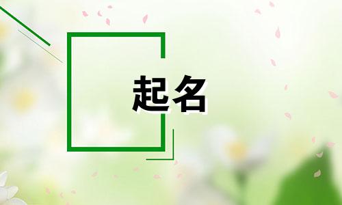 二字旺生意公司名字怎么取