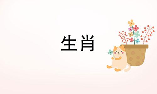 属马的2024年适合要兔宝宝吗女孩