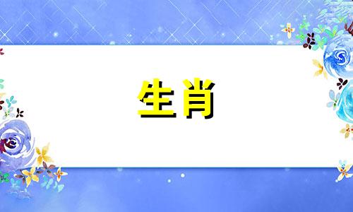 2024年可能遭遇不顺的生肖有哪些