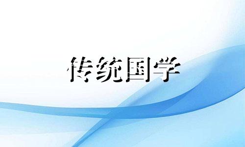 睡莲的水缸养殖方法视频 睡莲的水缸养殖方法需要换水吗