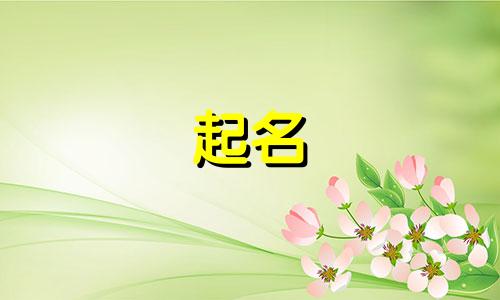 水 姓名 姓水起什么名字好