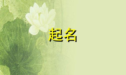 聂姓很优雅的女孩取名 姓聂的女孩名字洋气点