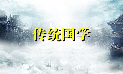 饮料公司起名大全2024年 食品饮料公司起名大全