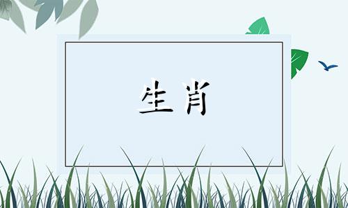 2024年属牛人的全年每月 属牛2024年的运气和财运怎么样