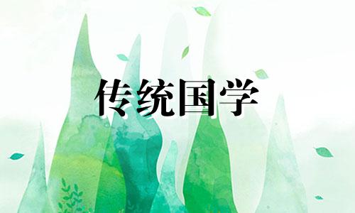 室内植物作用有哪些种类 室内植物的作用是什么