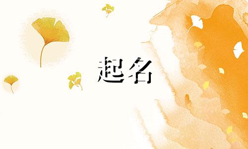 高雅不俗的公司名字四个字