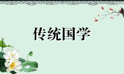 房子前面中哪些植物能改善风水问题