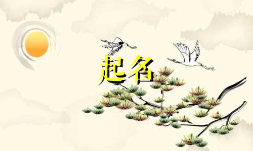 好听简单有创意的室内装饰公司名字