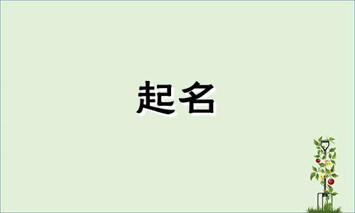 龙年开的电影院怎么取名字好听